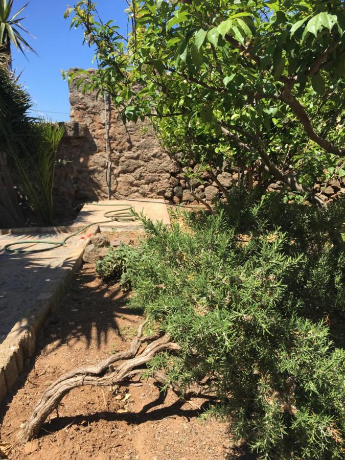 Bed & Breakfast Cactus Le Casette Di Marilena *